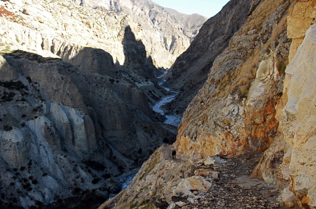 23 Trail Descends From Kyang To The Phu Khola On The Trek To Phu 